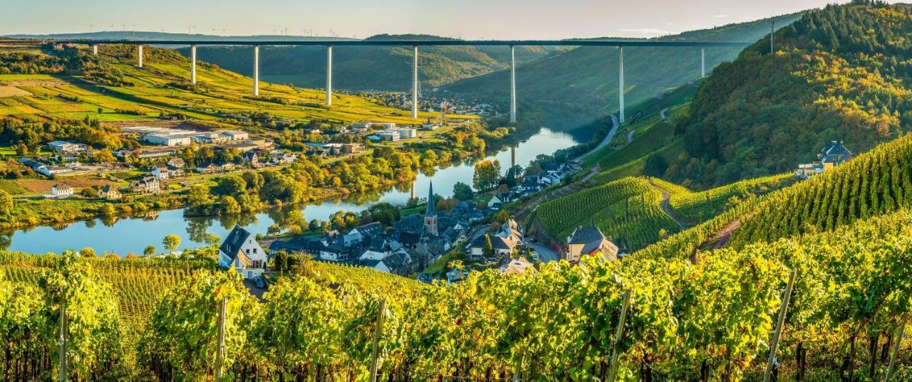 Ferienhaus Am Moselsteig Ирциг Экстерьер фото